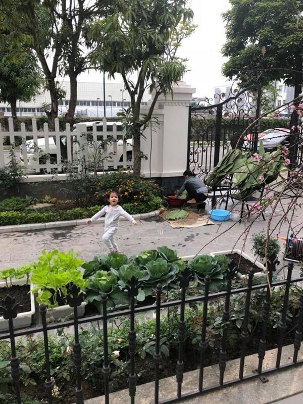 “hoc hoi” tran thanh khoe meo cung, vo dai gia kim cuong vo tinh lam lo “bi mat” tu gia - 3