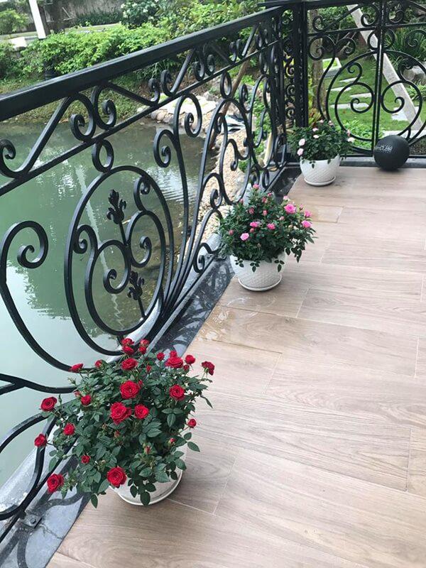 “hoc hoi” tran thanh khoe meo cung, vo dai gia kim cuong vo tinh lam lo “bi mat” tu gia - 4