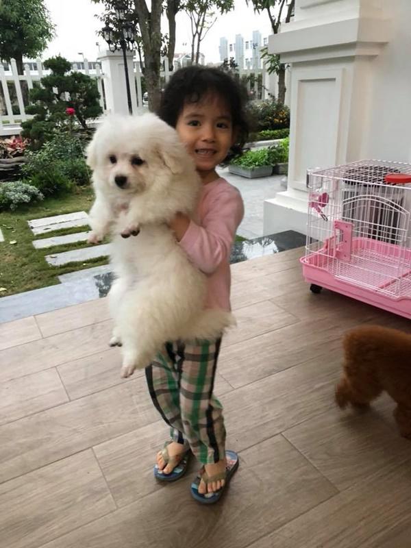 “hoc hoi” tran thanh khoe meo cung, vo dai gia kim cuong vo tinh lam lo “bi mat” tu gia - 5