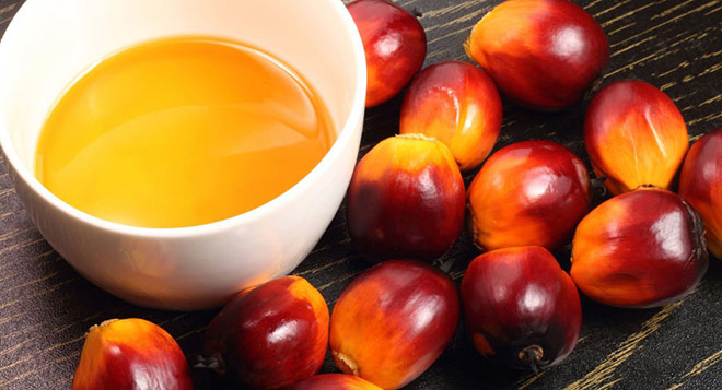 Vì sao tinh dầu cọ được ví là “thần dược” trị rạn da? - 1