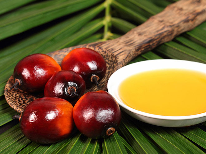 Vì sao tinh dầu cọ được ví là “thần dược” trị rạn da? - 2