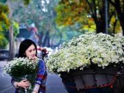 Lifestyle - Clip: Nếu là "fan cứng" của cúc họa mi, cần biết 10 điều thú vị này