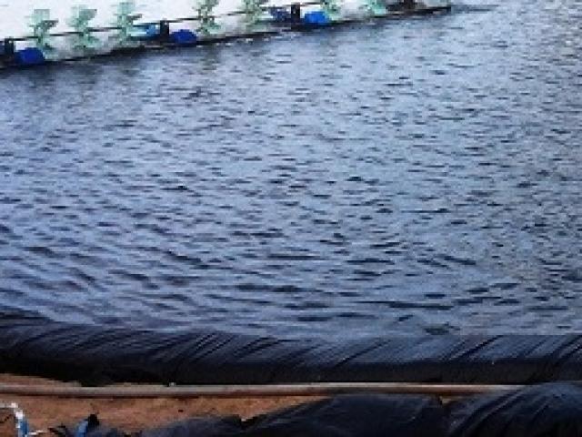 Bé trai 19 tháng tuổi tử vong thương tâm khi ngã xuống hồ nước do bất cẩn của bố mẹ