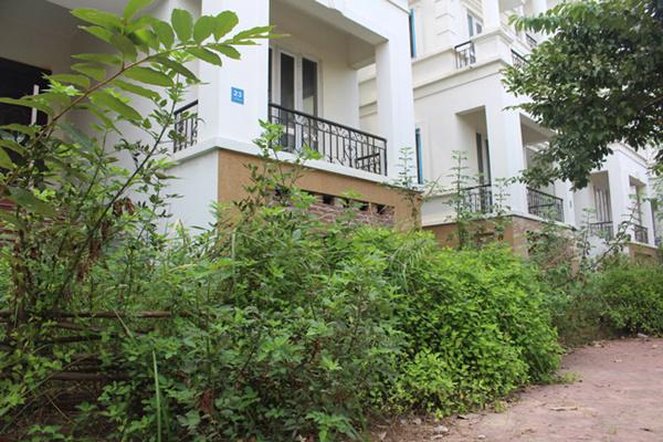 hoang tan, lanh leo den ron nguoi trong khu do thi tai thu do ha noi - 10