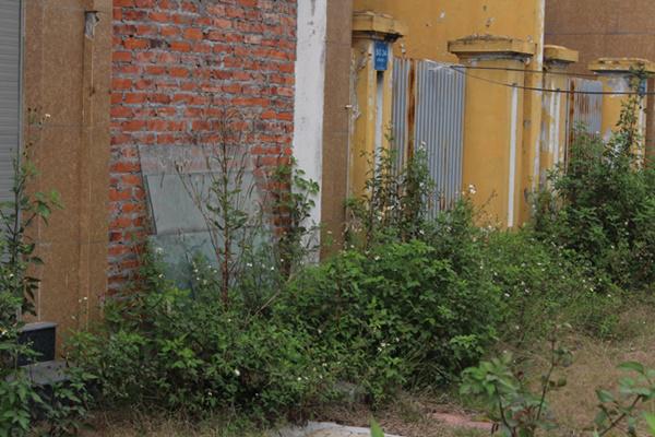 hoang tan, lanh leo den ron nguoi trong khu do thi tai thu do ha noi - 12