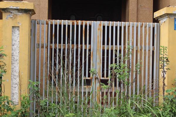 hoang tan, lanh leo den ron nguoi trong khu do thi tai thu do ha noi - 13