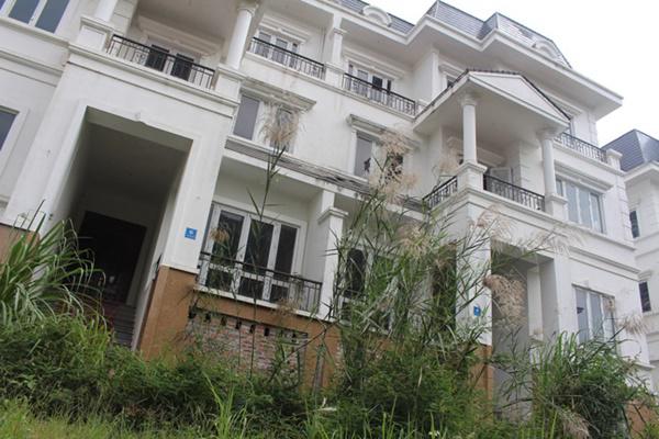 hoang tan, lanh leo den ron nguoi trong khu do thi tai thu do ha noi - 14