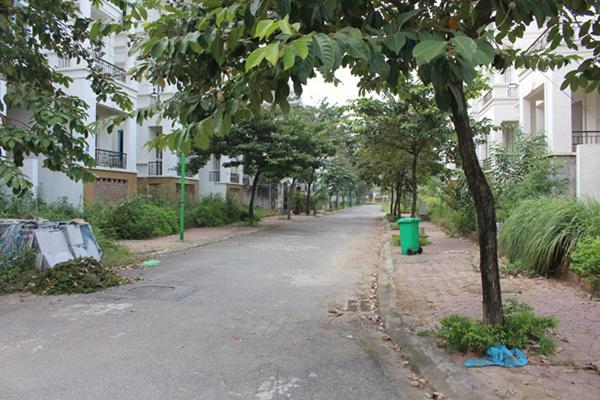 hoang tan, lanh leo den ron nguoi trong khu do thi tai thu do ha noi - 15