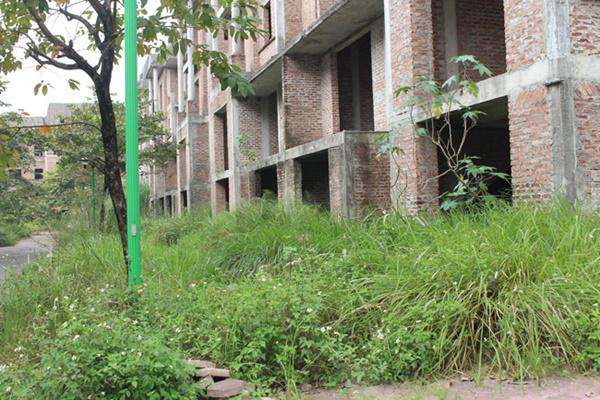 hoang tan, lanh leo den ron nguoi trong khu do thi tai thu do ha noi - 18