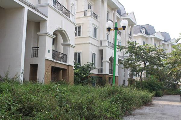 hoang tan, lanh leo den ron nguoi trong khu do thi tai thu do ha noi - 20