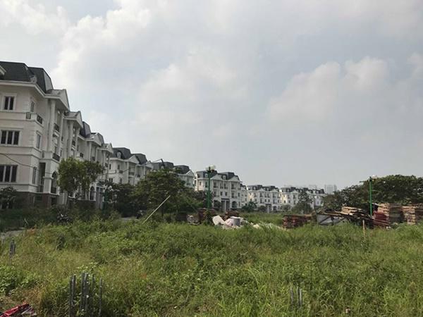 hoang tan, lanh leo den ron nguoi trong khu do thi tai thu do ha noi - 3