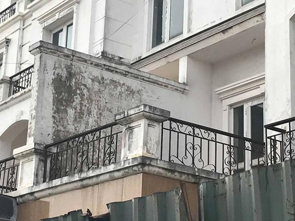 hoang tan, lanh leo den ron nguoi trong khu do thi tai thu do ha noi - 5