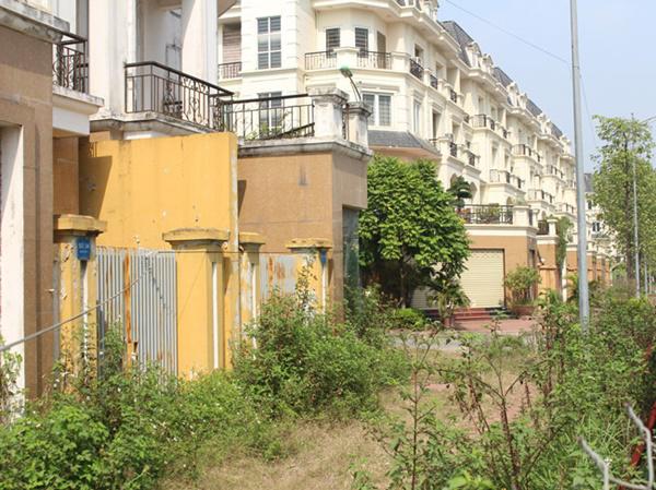 hoang tan, lanh leo den ron nguoi trong khu do thi tai thu do ha noi - 8