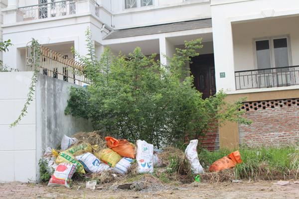 hoang tan, lanh leo den ron nguoi trong khu do thi tai thu do ha noi - 9