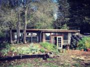 Nhà đẹp - Vợ chồng trẻ xây nhà 50m2 chưa tới 230 triệu khiến ai cũng nể