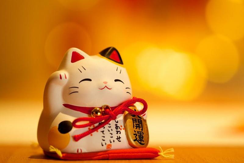 Chú mèo may mắn thường mang lại nhiều may mắn, tiền bạc và tình yêu cho gia chủ. Mèo may mắn Trung Quốc cùng với mèo vẫy tay Manaeki Neko của Nhật Bản là hai biểu tượng khá phổ biến được nhiều chủ nhà lựa chọn để bày biện trong nhà mình.
