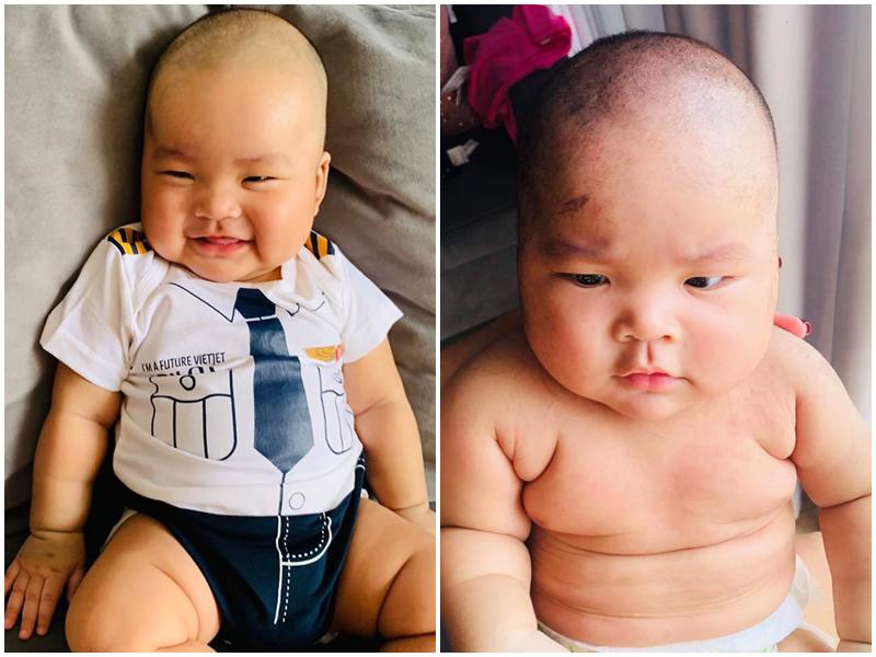 Bé Koi hiện tại hơn 3 tháng tuổi, bụ sữa, tròn trĩnh, thân hình chắc khỏe và biểu hiện cơ thể rất linh hoạt.
