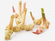 Sức khỏe - Loại củ rẻ tiền vùng nào cũng có là vị thuốc sánh ngang "thần dược"