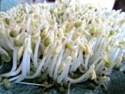 Sức khỏe - 8 thói quen khi chế biến rau, củ là "sát thủ" với sức khỏe, gây ra cả ung thư