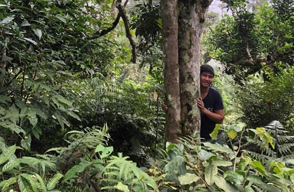 loai tra dac biet trung quoc ban gan 40 ty dòng/kg, viet nam con ca rung - 13