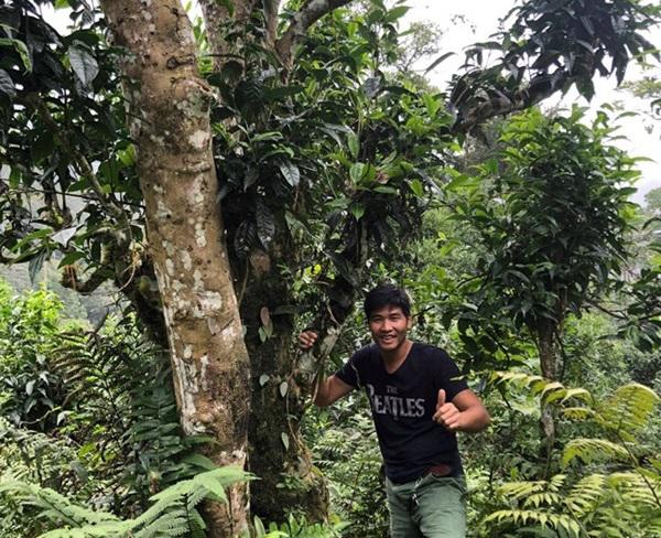 loai tra dac biet trung quoc ban gan 40 ty dòng/kg, viet nam con ca rung - 5