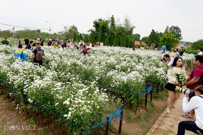 phia sau nhung buc anh cuc hoa mi dep la... ca dan "ban tia" co tam - 5