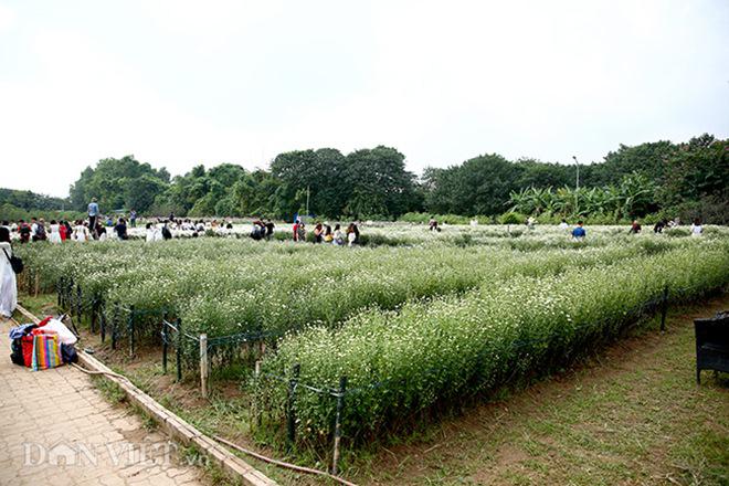 phia sau nhung buc anh cuc hoa mi dep la... ca dan "ban tia" co tam - 9