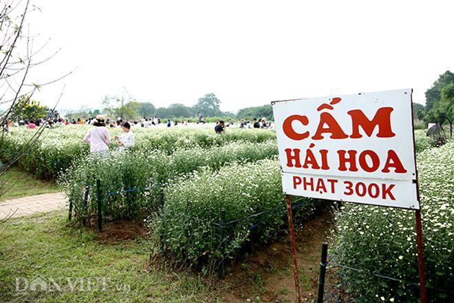 phia sau nhung buc anh cuc hoa mi dep la... ca dan "ban tia" co tam - 17