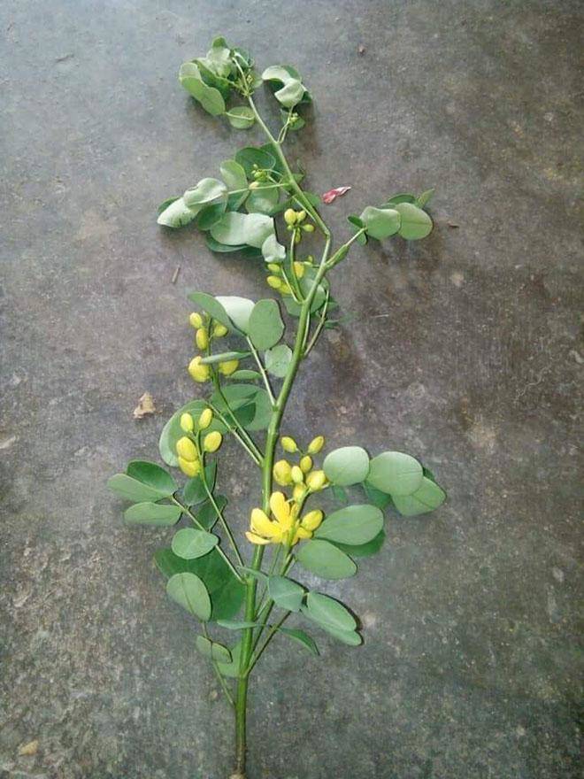 tin tuc 24h: lo nhan sac co dau trong dam cuoi khung, ngon 2,5 ty lam rap o cao bang - 2