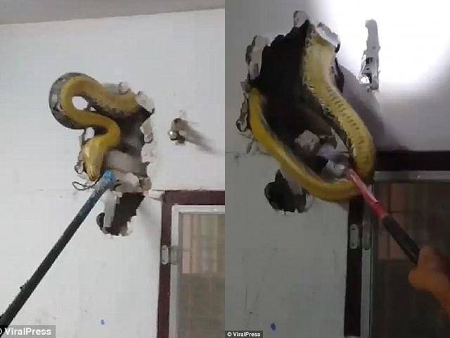 tin tuc 24h: lo nhan sac co dau trong dam cuoi khung, ngon 2,5 ty lam rap o cao bang - 3