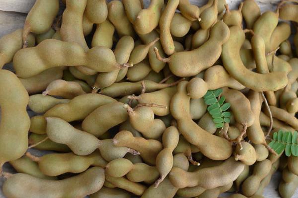 Trắng đến mức nhìn như bạch tạng, đây là mốt mới của gái Thái ngày nay? - 8