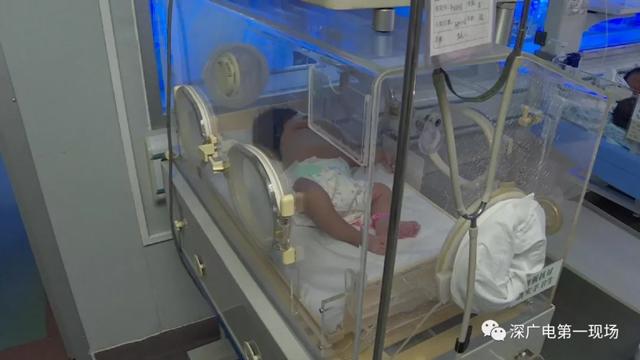 Nghe tiếng mèo kêu trong thùng rác, người phụ nữ bàng hoàng với cảnh tượng bên trong - 3