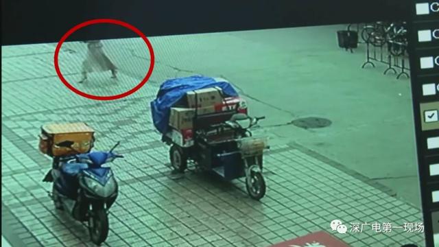 Nghe tiếng mèo kêu trong thùng rác, người phụ nữ bàng hoàng với cảnh tượng bên trong - 4