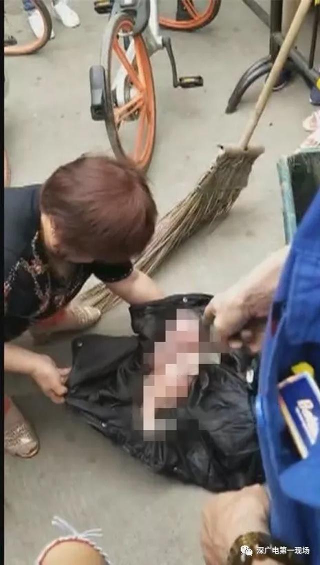 Nghe tiếng mèo kêu trong thùng rác, người phụ nữ bàng hoàng với cảnh tượng bên trong - 2