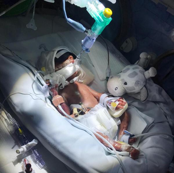 Tìm con suốt 4 năm, mẹ bầu mang thai đôi đến tuần 24 thì xảy ra điều bất ngờ - 3