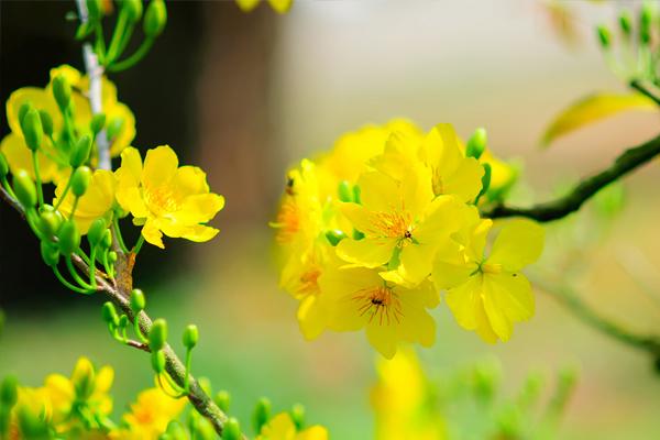 Hung bạo nhất lịch sử Trung hoa, đây là bí thuật làm đẹp rợn người của Thái Bình công chúa - 8