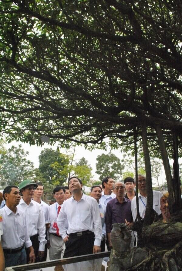 Tuyệt phẩm sanh cổ amp;#39;Nhất tọa kinh thiênamp;#39;: Trả 11 tỷ, chủ vẫn lắc đầu - 5