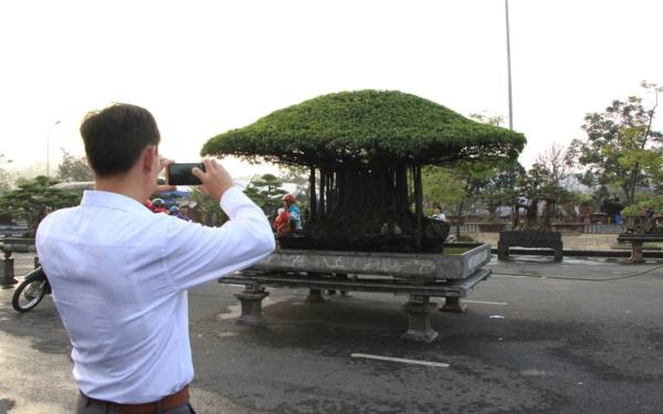 Tuyệt phẩm sanh cổ amp;#39;Nhất tọa kinh thiênamp;#39;: Trả 11 tỷ, chủ vẫn lắc đầu - 8