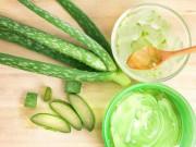 Sức khỏe - Loại cây "vứt đâu cũng sống" là quả bom dinh dưỡng, thần dược chữa bệnh