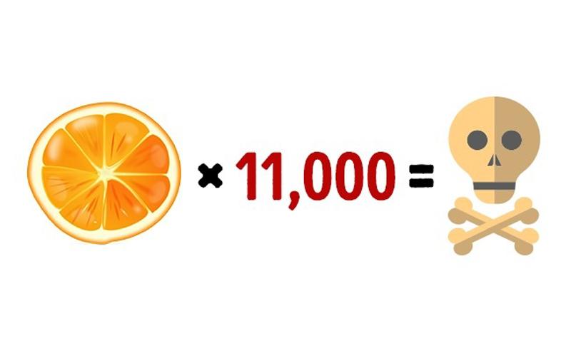 Nếu bạn ăn tới 11.000 quả cam liên tục thì chắc chắn bạn sẽ phải nhập viện ngay lập tức.
