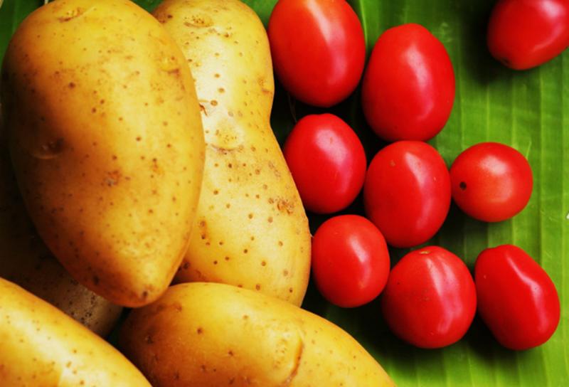 Dùng cà chua với khoai tây cũng sẽ làm khó tiêu, dẫn đến đau bụng, tiêu chảy và rối loạn tiêu hóa.
