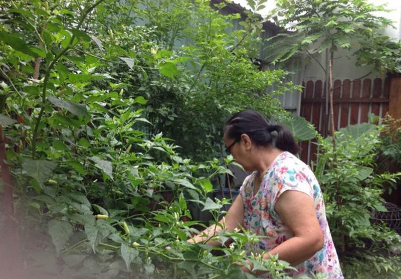 Sau này khi công việc thuận lợi kiếm được ra tiền, Hà Tăng và các anh trai đã xây cho bố mẹ một căn nhà nhỏ tại Bình Thạnh (TP HCM). Ở đây, ông bà ươm trồng và chăm sóc rất nhiều loại cây cảnh.
