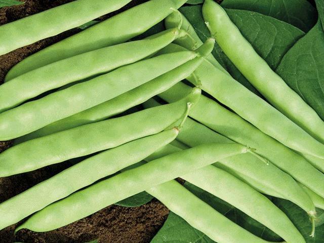 Dấu hiệu 5 loại rau quen mặt mùa đông bị tắm đẫm hóa chất, ăn vào dễ nhập viện