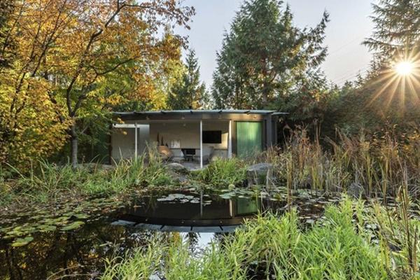 lạ dòi can nhà 300 tỷ nhu... dòng thác tuon chảy - 10