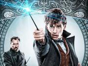 Phim - Tiền truyện Harry Potter - Sinh vật huyền bí: Món quà phép thuật không thể chối từ