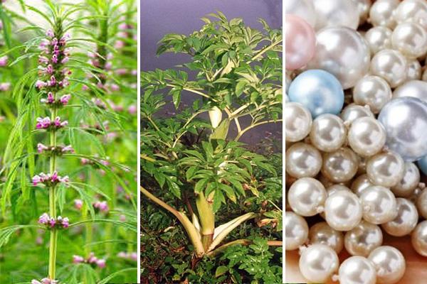 noi tieng dam loan, vo tac thien da niu keo thanh xuan bang thu "bot than tien" nay - 7