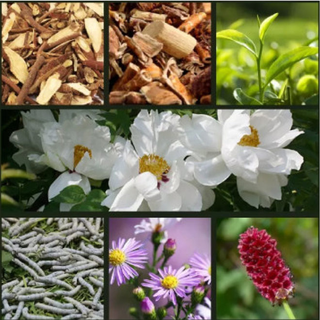 review my pham benetiful: chong nhan hieu qua nho hong sam len men - 4