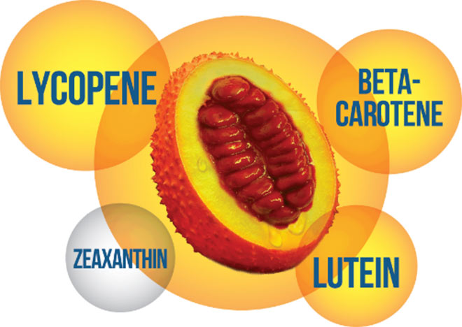 Bí quyết giúp khỏe gan, tăng đề kháng từ tinh chất trong quả gấc - 1
