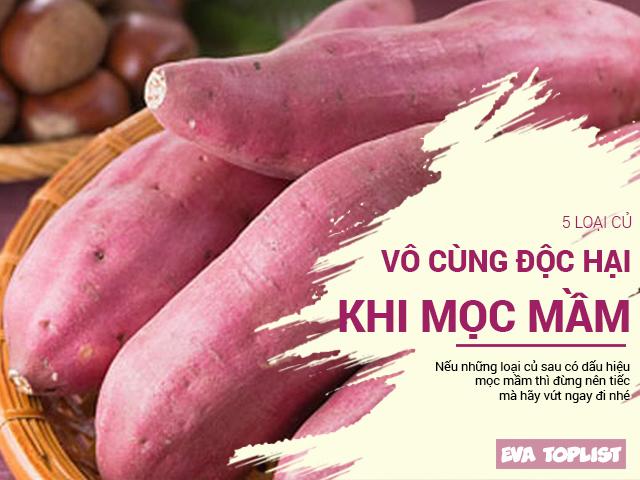 Đừng tiếc mà cố chế biến, 5 loại quả này hóa cực độc khi để mọc mầm