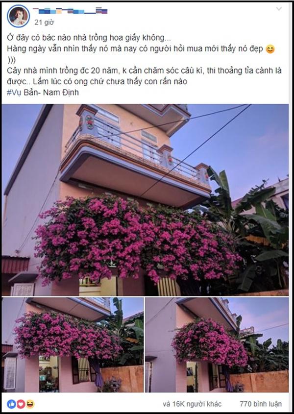xuat hien gian hoa giay 20 nam tuoi dep nuc long hoi chi em o nam dinh &#34;que minh&#34; - 1
